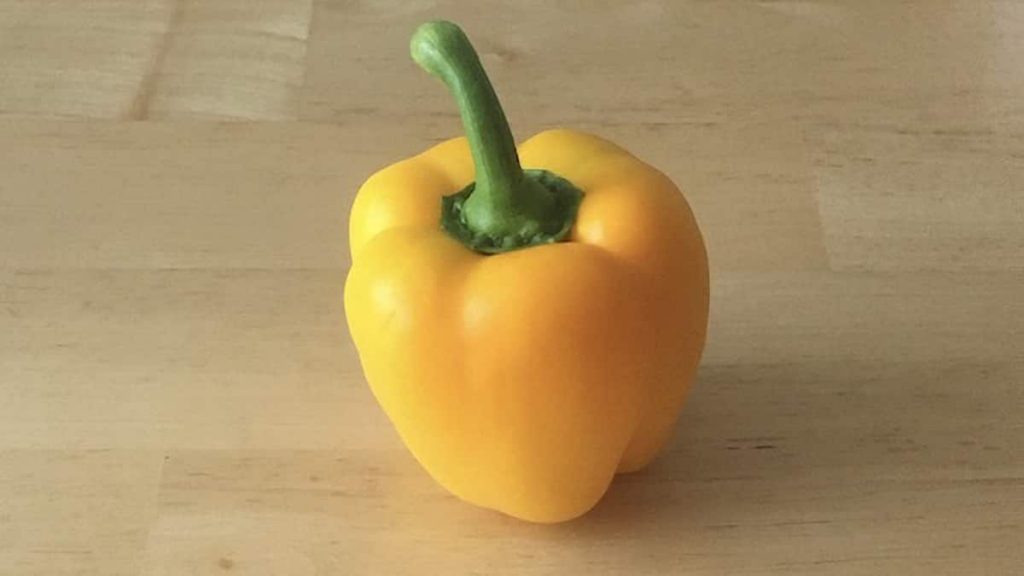 家庭課題その1「野菜を描こう!」