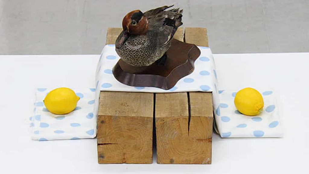 基本デッサン「カモの剥製のある静物」