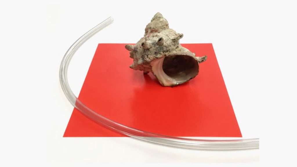 下地からこだわる！「サザエの静物着彩」