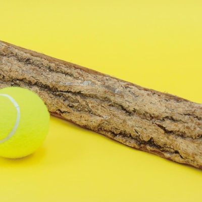 デッサンを始めよう!「春のデッサン1日講習」
