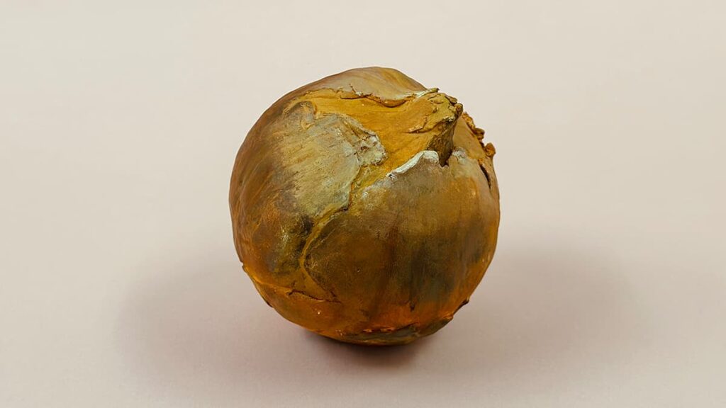 玉ねぎの粘土立体作品