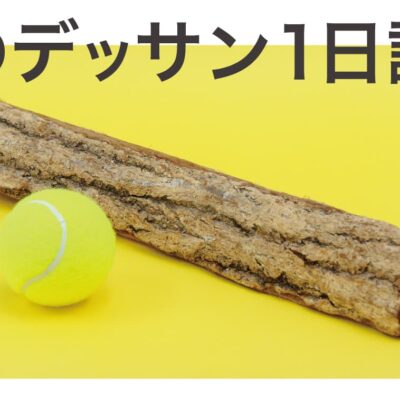 【イベント】春のデッサン1日講習