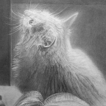 デッサンコース受講生作品　鉛筆デッサン　動物を描く