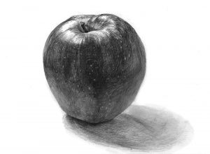 りんごのデッサン【描き方】明暗や質感などのポイントを抑えよう