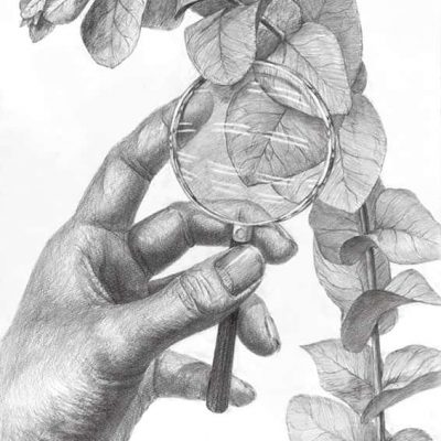 「与えられた植物」と「ルーペを持った自分の手」を用いて構成し、鉛筆デッサンしなさい。