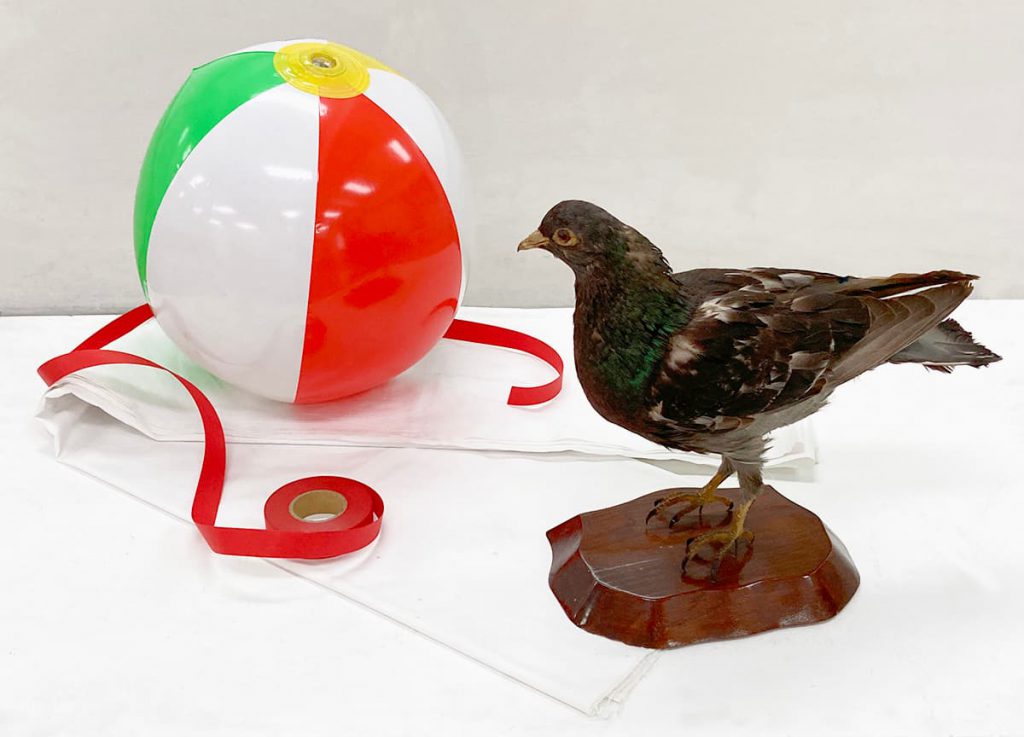 静物デッサンに役立つ「３つのフィルター」