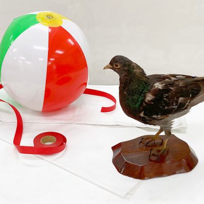 静物デッサンに役立つ「３つのフィルター」