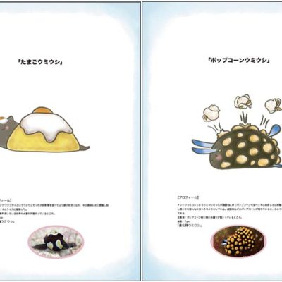 アートデザイン表現学科メディア表現領域 総合型選抜 ポートフォリオより抜粋