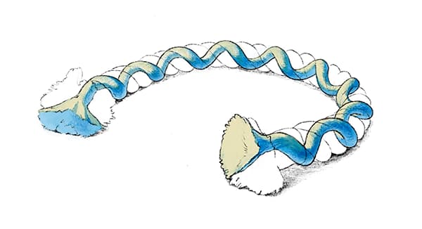 綿ロープの構造解説