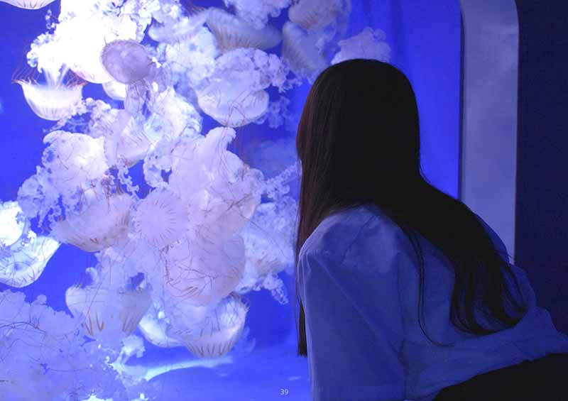 東京造形大学デザイン学科映画・映像専攻領域合格者作品