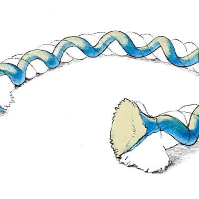 お悩み相談：「構造を意識して」と言われたけど…構造って何？